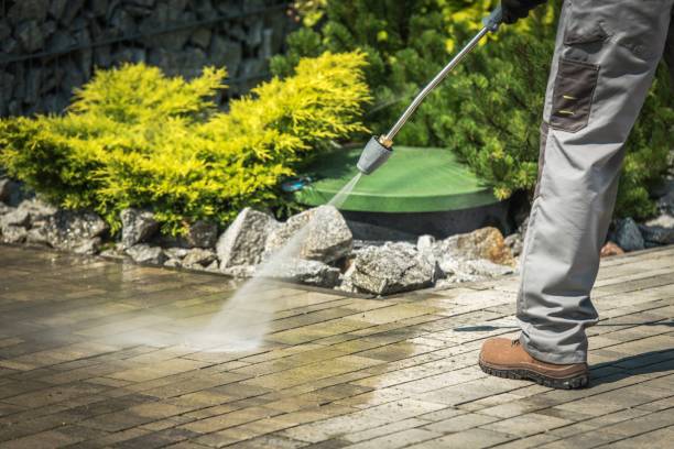 Best Sidewalk and Walkway Cleaning  in Del Rio, TX