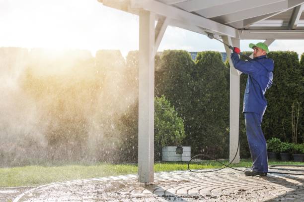 Best Soft Washing  in Del Rio, TX