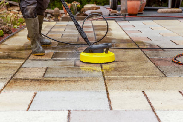 Best Animal Enclosure Cleaning  in Del Rio, TX