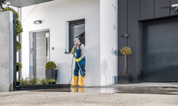 Best Paint Preparation  in Del Rio, TX